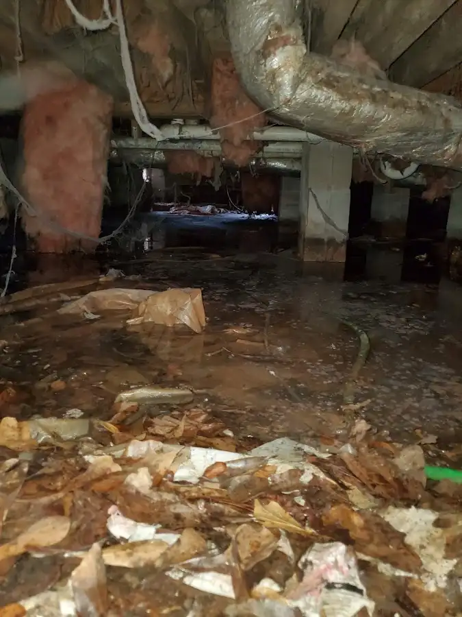 Crawl space flood assessment for Leak Detection & Repair in The Woodlands